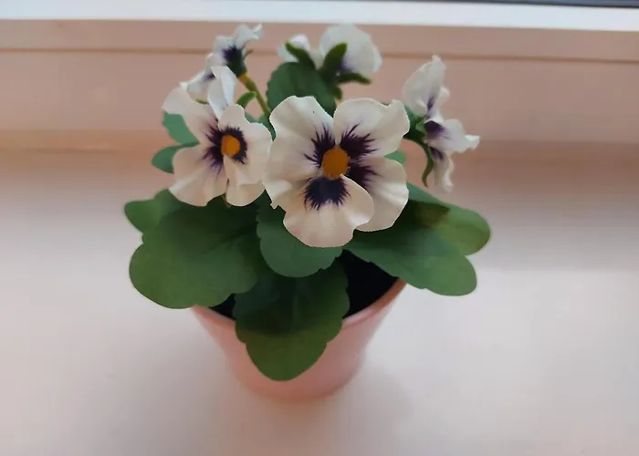 Overnight Apartamento *