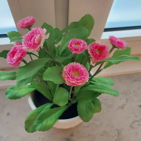 Overnight Apartmán *