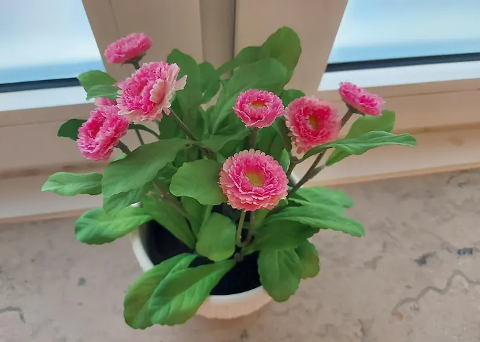 Overnight Lejlighed *